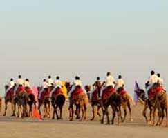 Bhuj Holiday Package